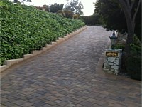 Paver Driveways