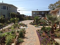 Paver Patios and Walkways